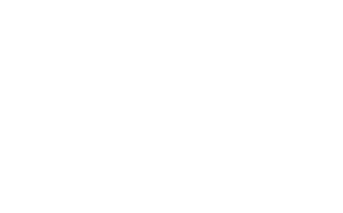 Segnitos Technologies Logo